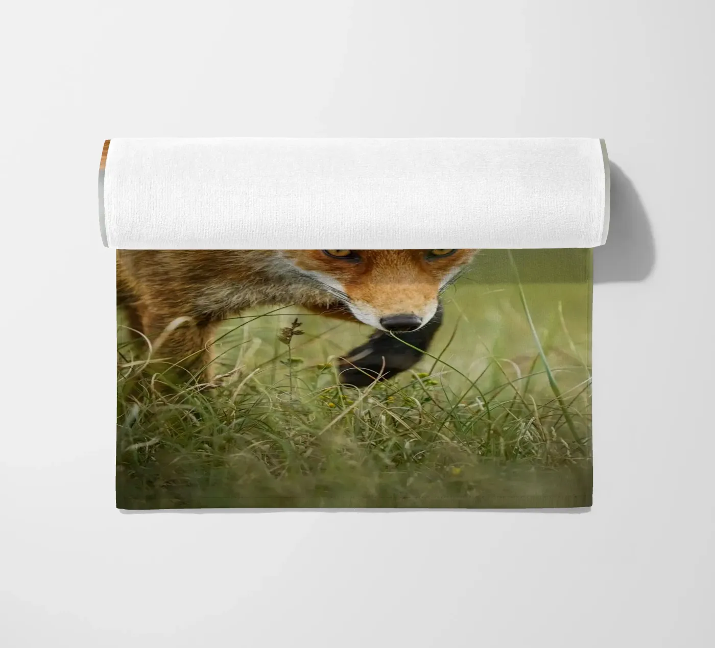 Red fox beach towel by Tom's Wildlife
