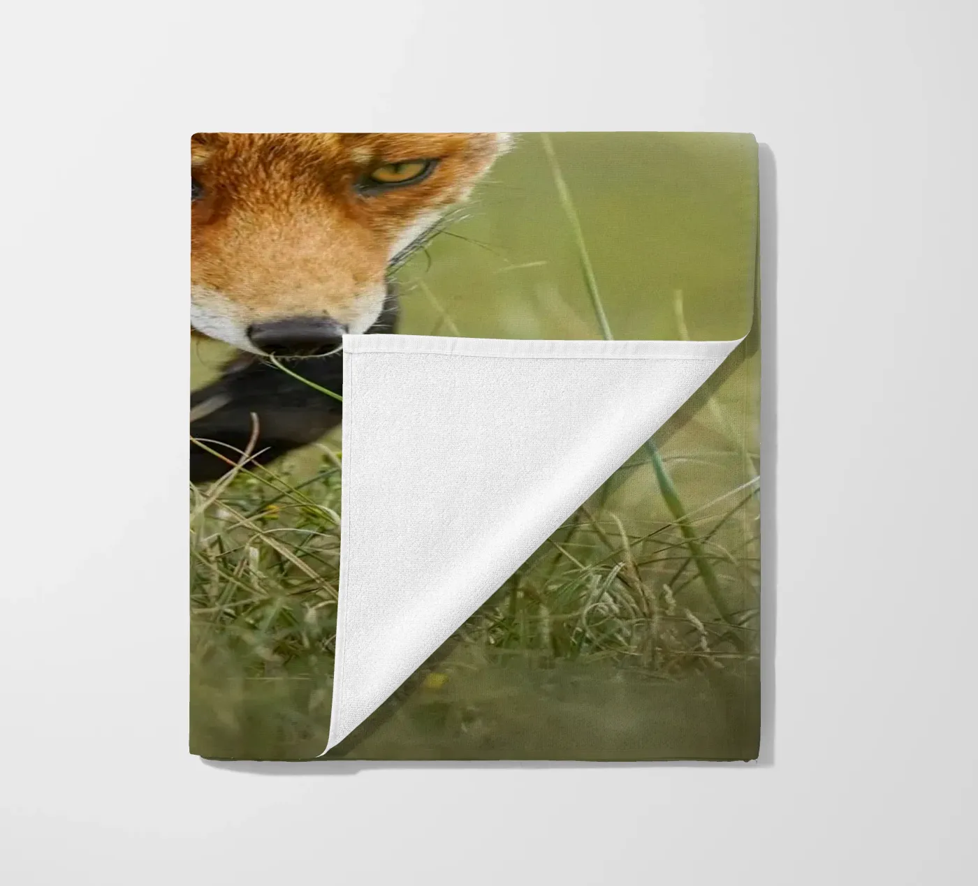 Red fox beach towel by Tom's Wildlife