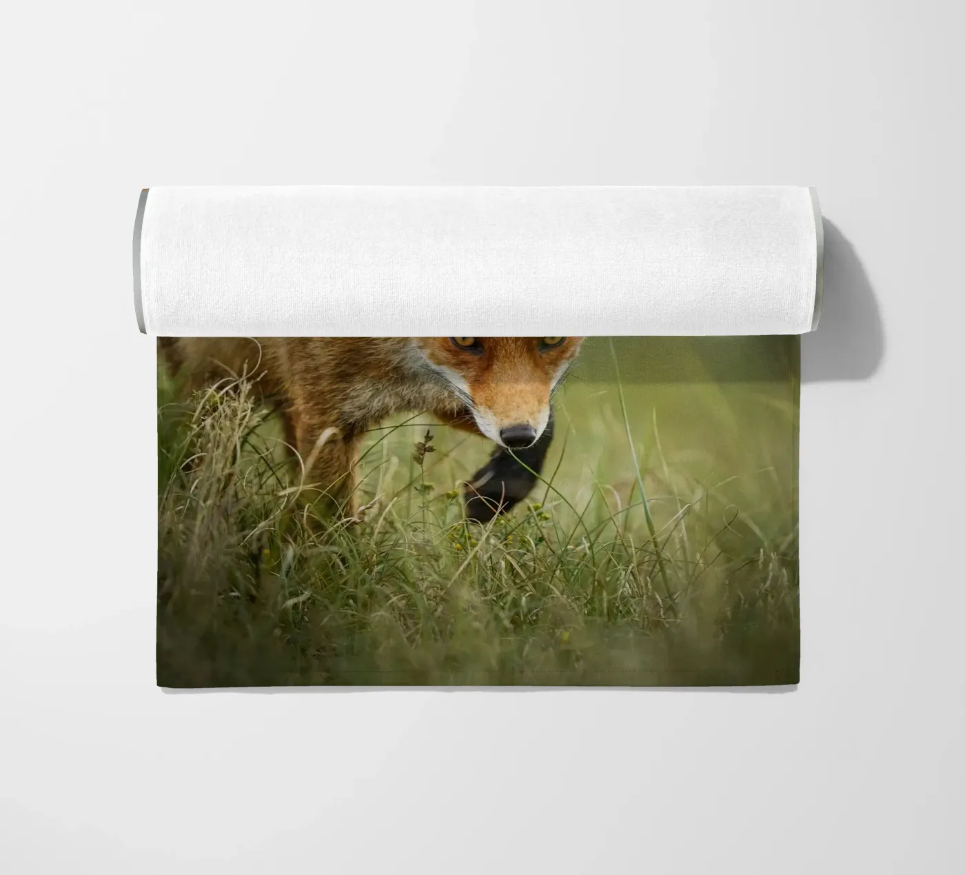Red fox beach towel by Tom's Wildlife