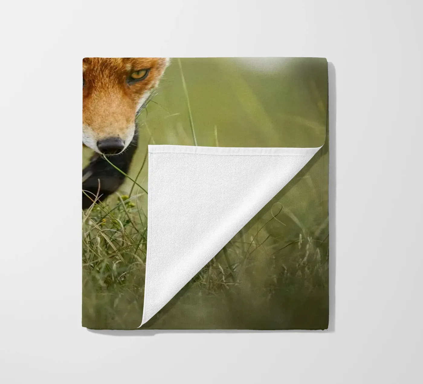Red fox beach towel by Tom's Wildlife