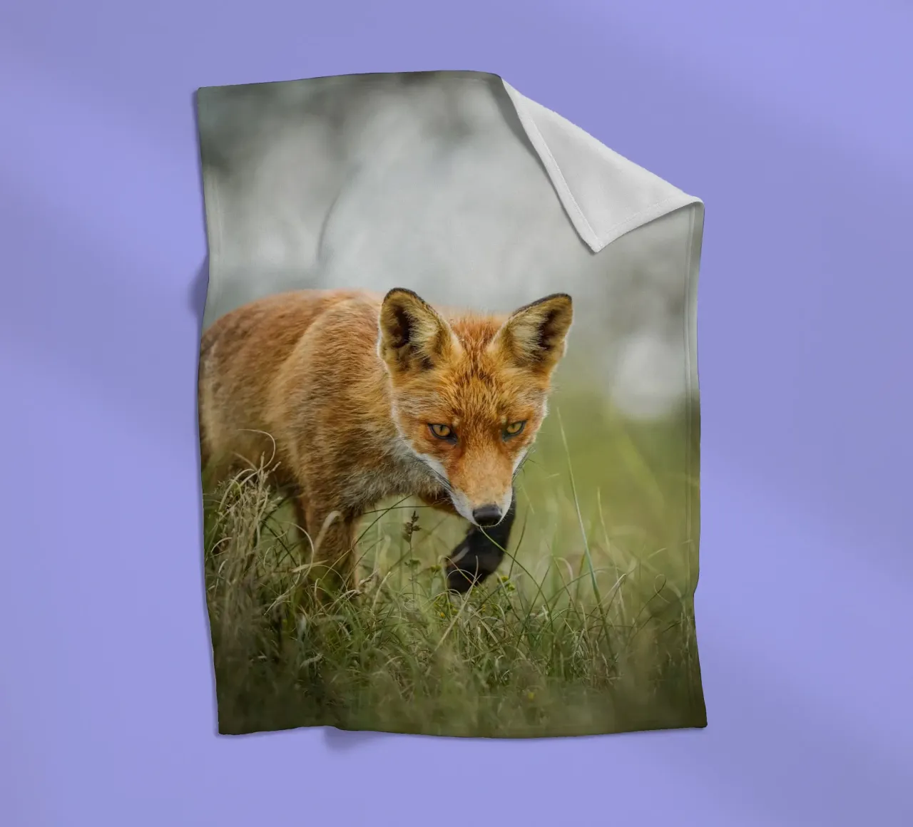 Rotfuchs Fleecedecke von Tom's Wildlife