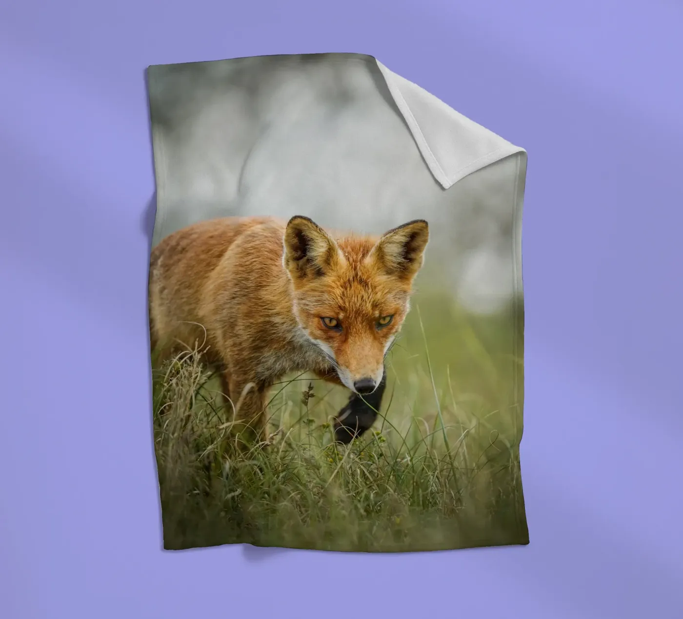 Rotfuchs Fleecedecke von Tom's Wildlife