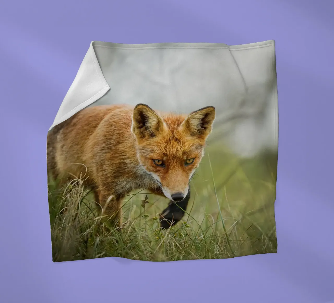 Rotfuchs Fleecedecke von Tom's Wildlife