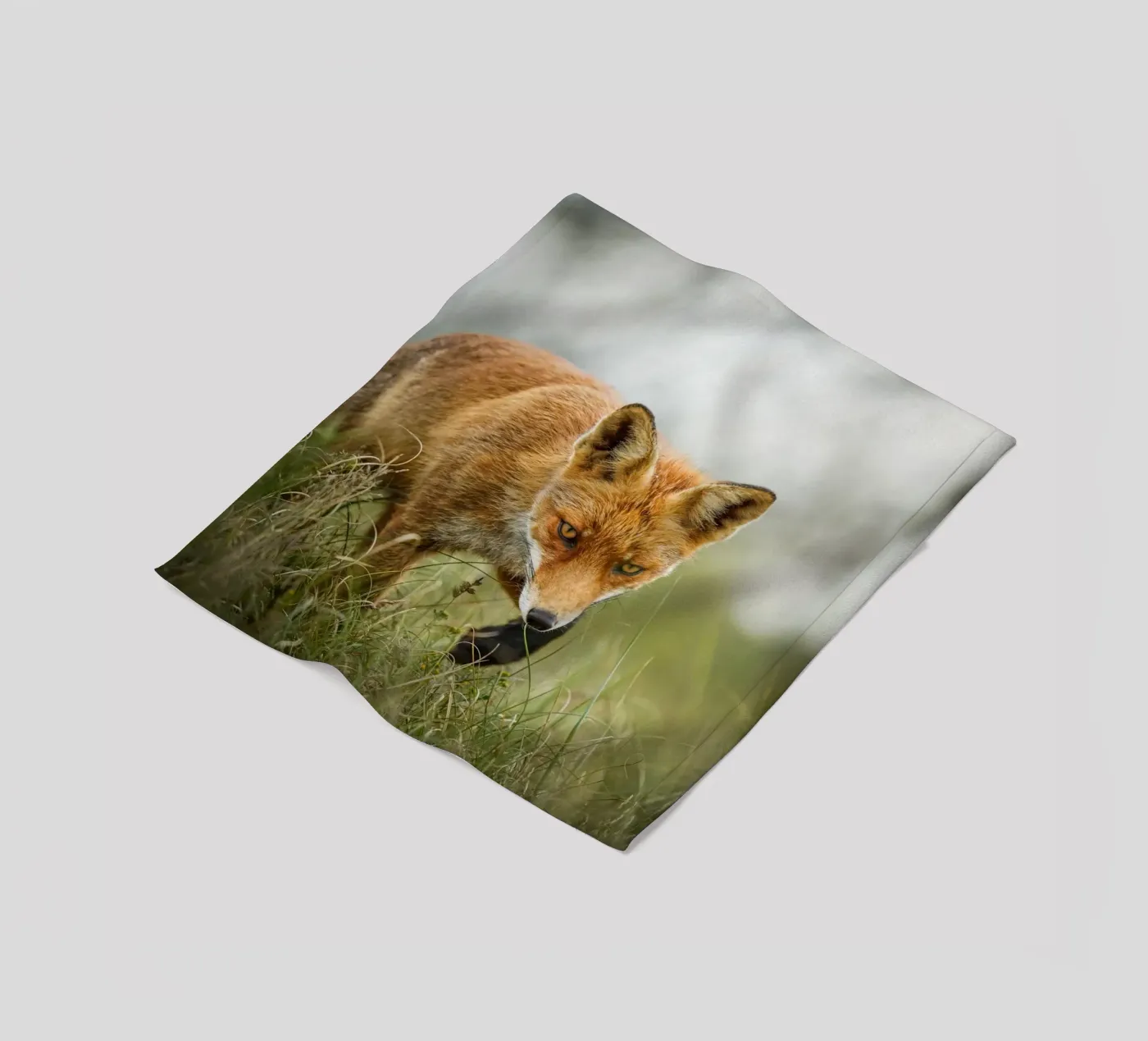 Rotfuchs Fleecedecke von Tom's Wildlife