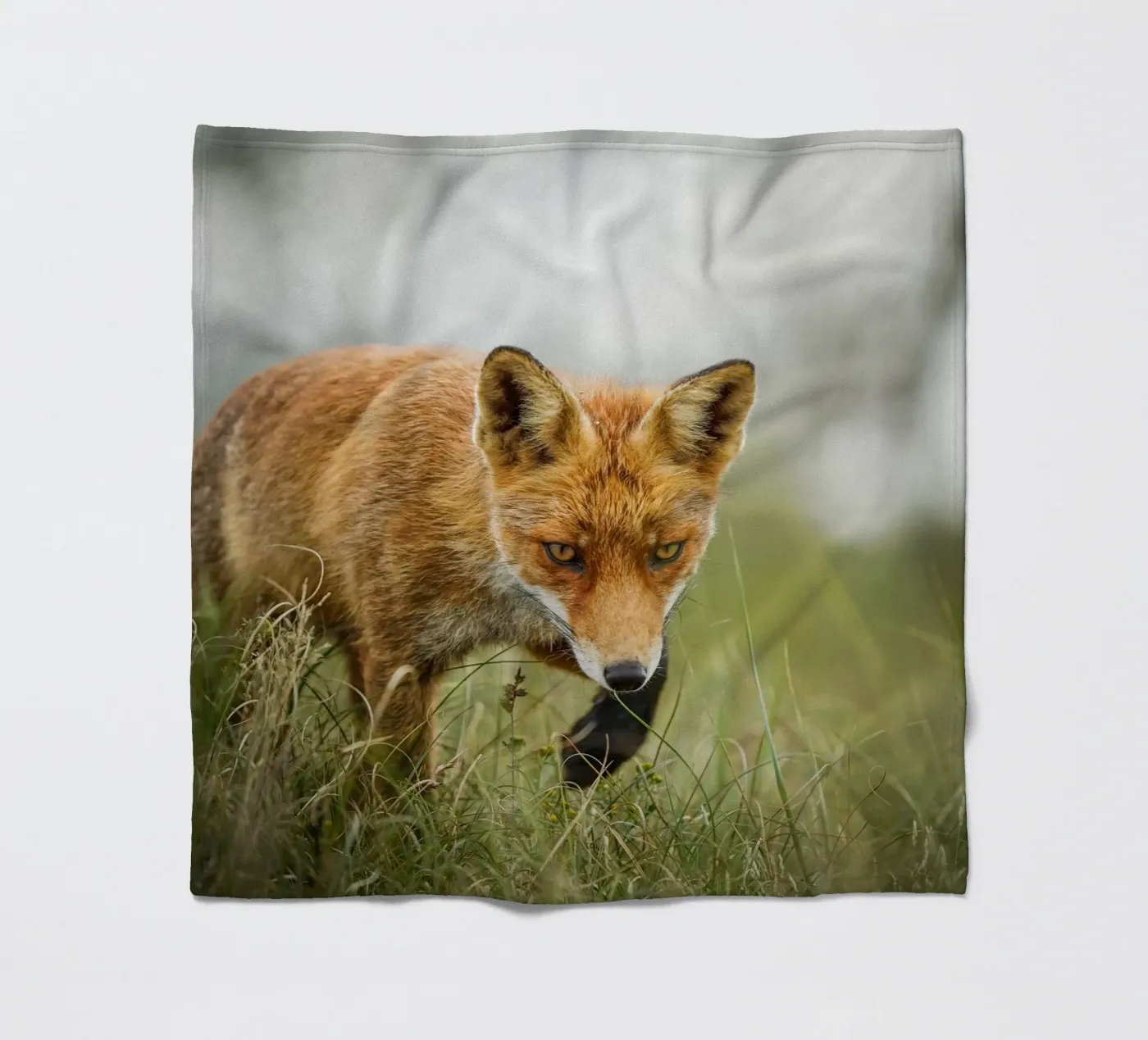 Rotfuchs Fleecedecke von Tom's Wildlife