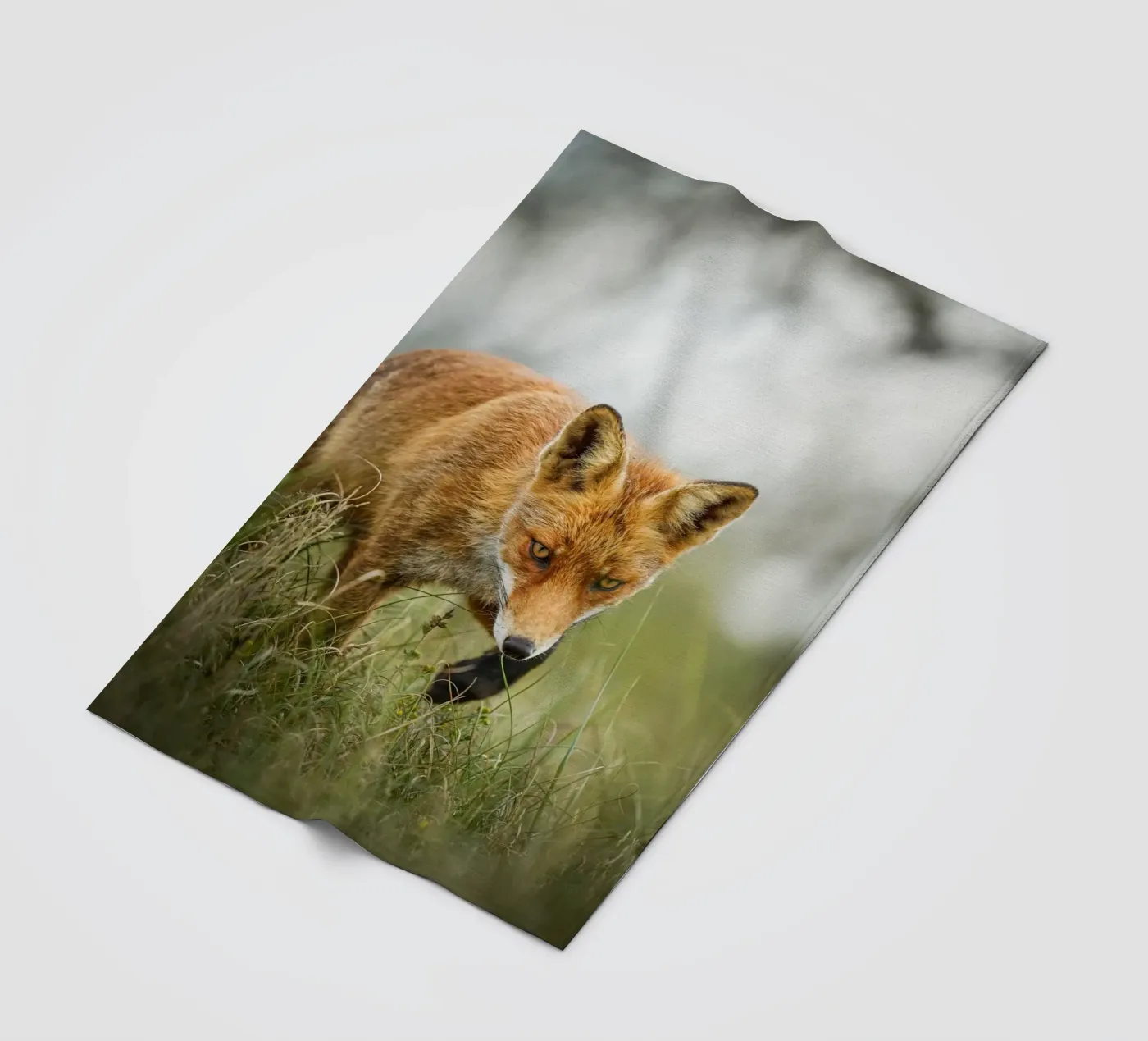 Rotfuchs Fleecedecke von Tom's Wildlife