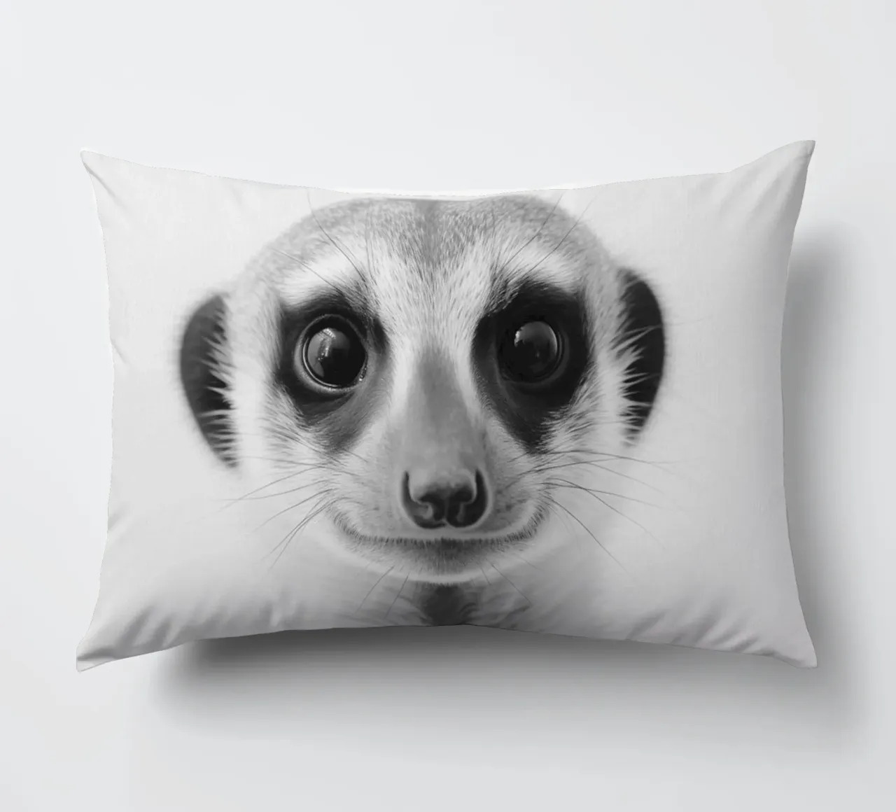 Photogenic meerkat decorative cushion by Carinaprint