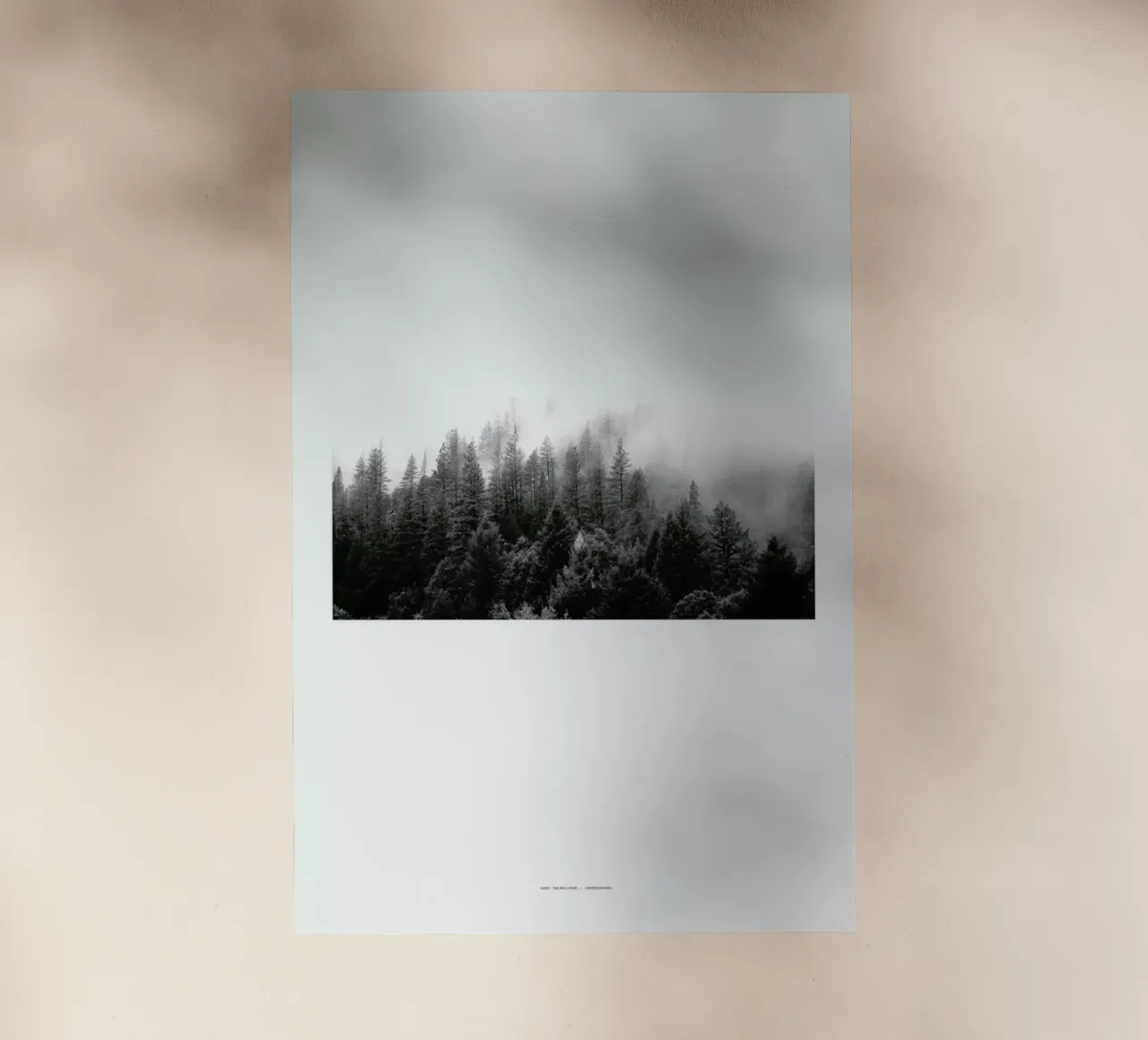 Fog pellicola backlit da The Wall Shop