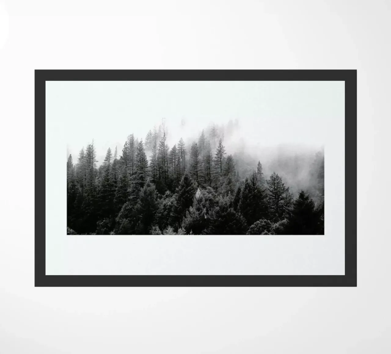 Fog zerbino da The Wall Shop