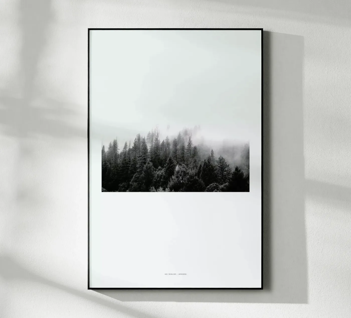 Fog acrylic glass by The Wall Shop