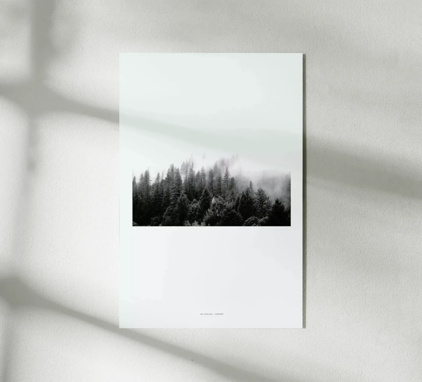 Fog acrylic glass by The Wall Shop