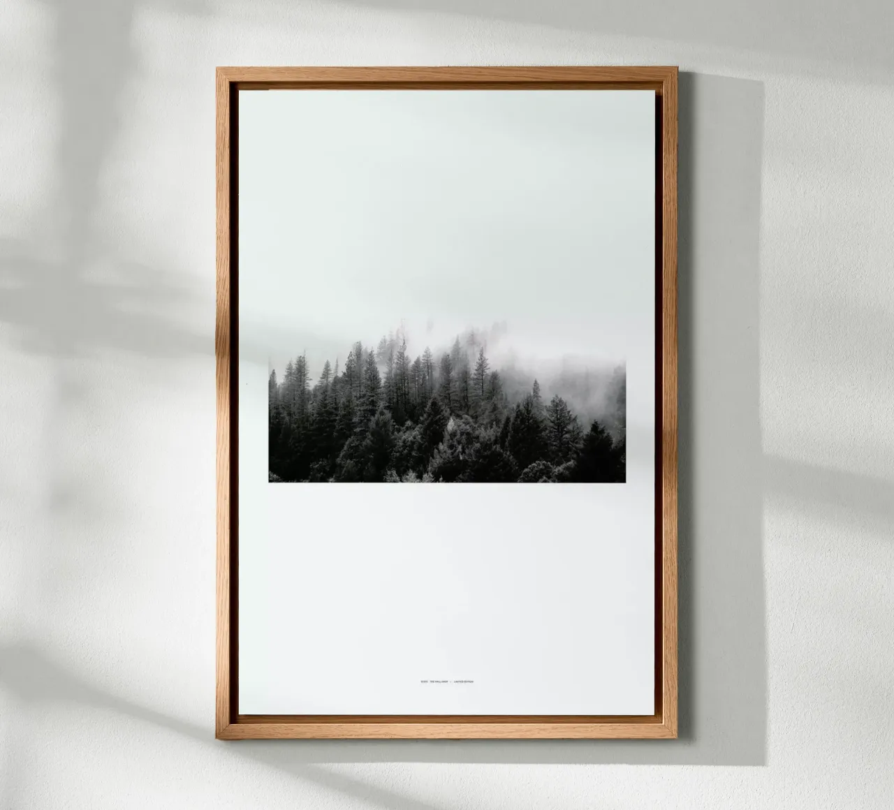 Fog canvas by The Wall Shop