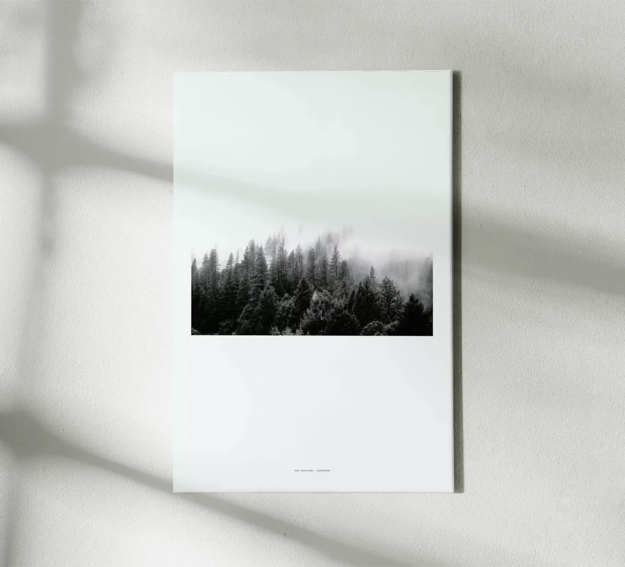 Fog canvas by The Wall Shop