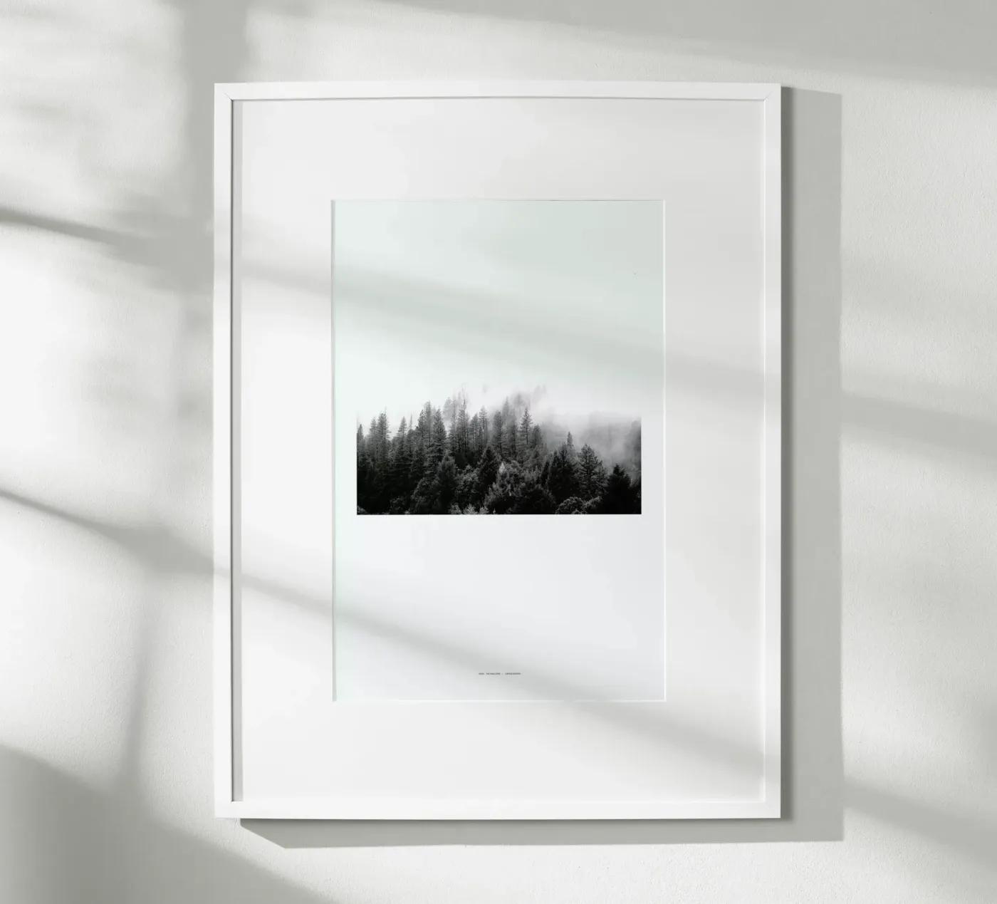 Fog poster da The Wall Shop