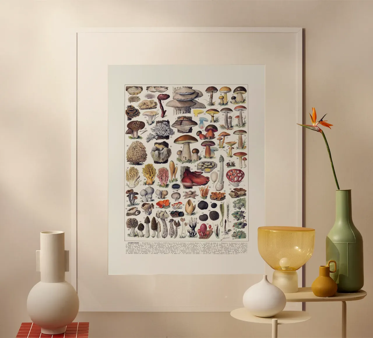 Mushrooms french vintage kitchen art food print poster by Studio Vintage