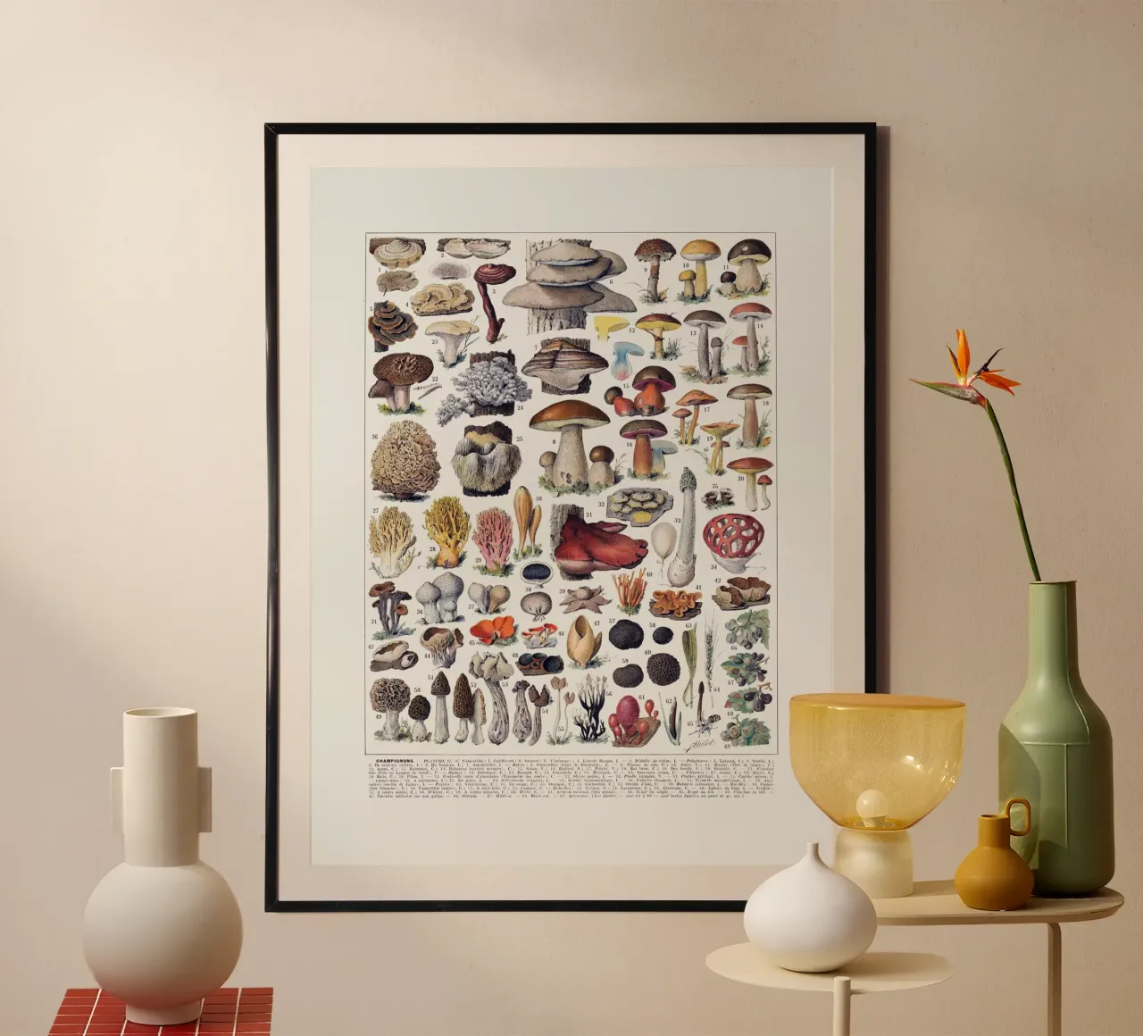 Mushrooms french vintage kitchen art food print poster by Studio Vintage