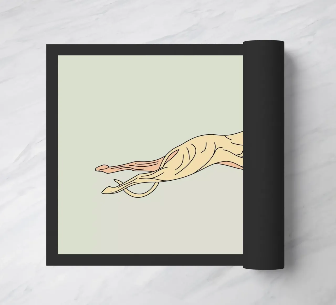 Myde zerbino da Swen Swensøn