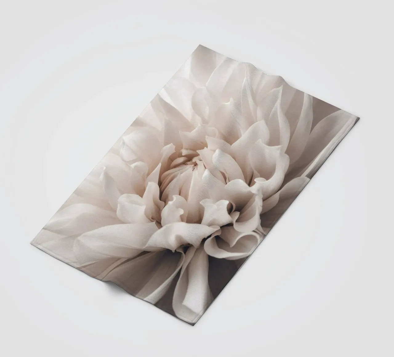 Elegante splendore floreale - Fotografia floreale minimalista coperta in pile da Whole©