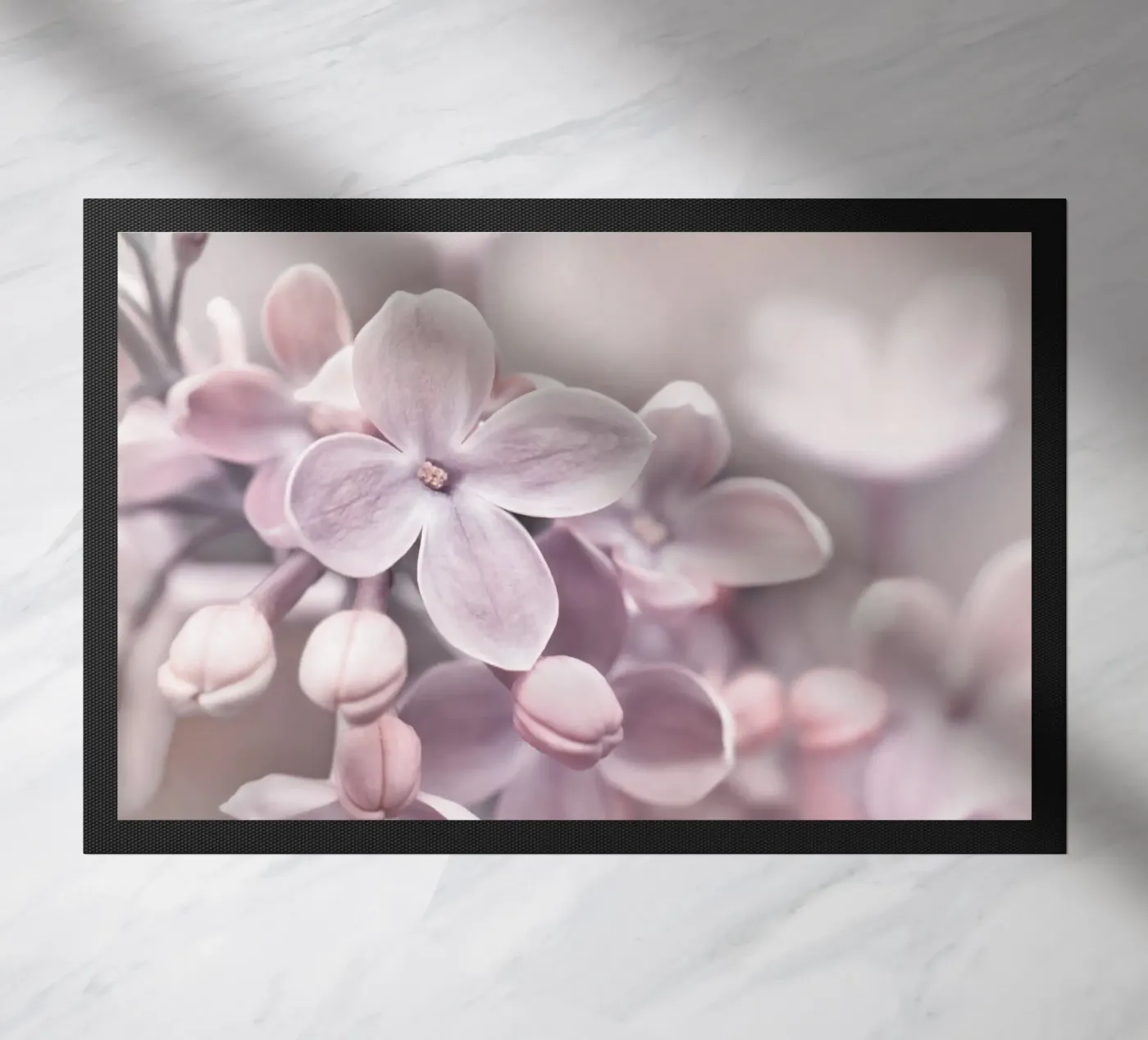 Lilac zerbino da Atteloi