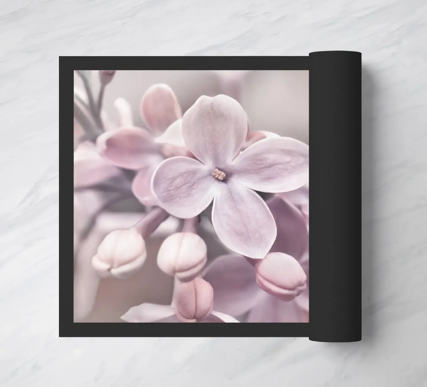 Lilla zerbino da Atteloi