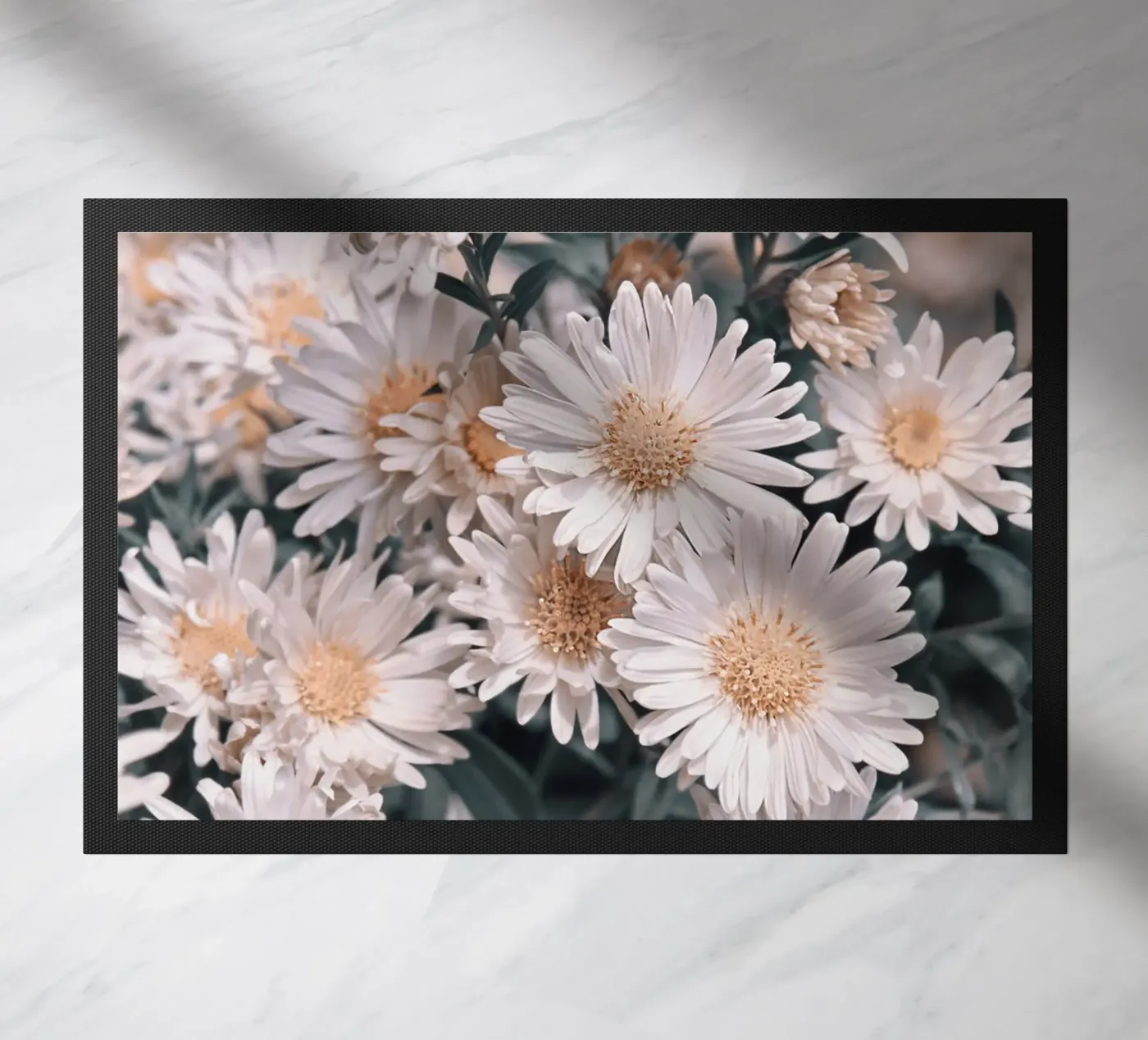 Margherite zerbino da Atteloi