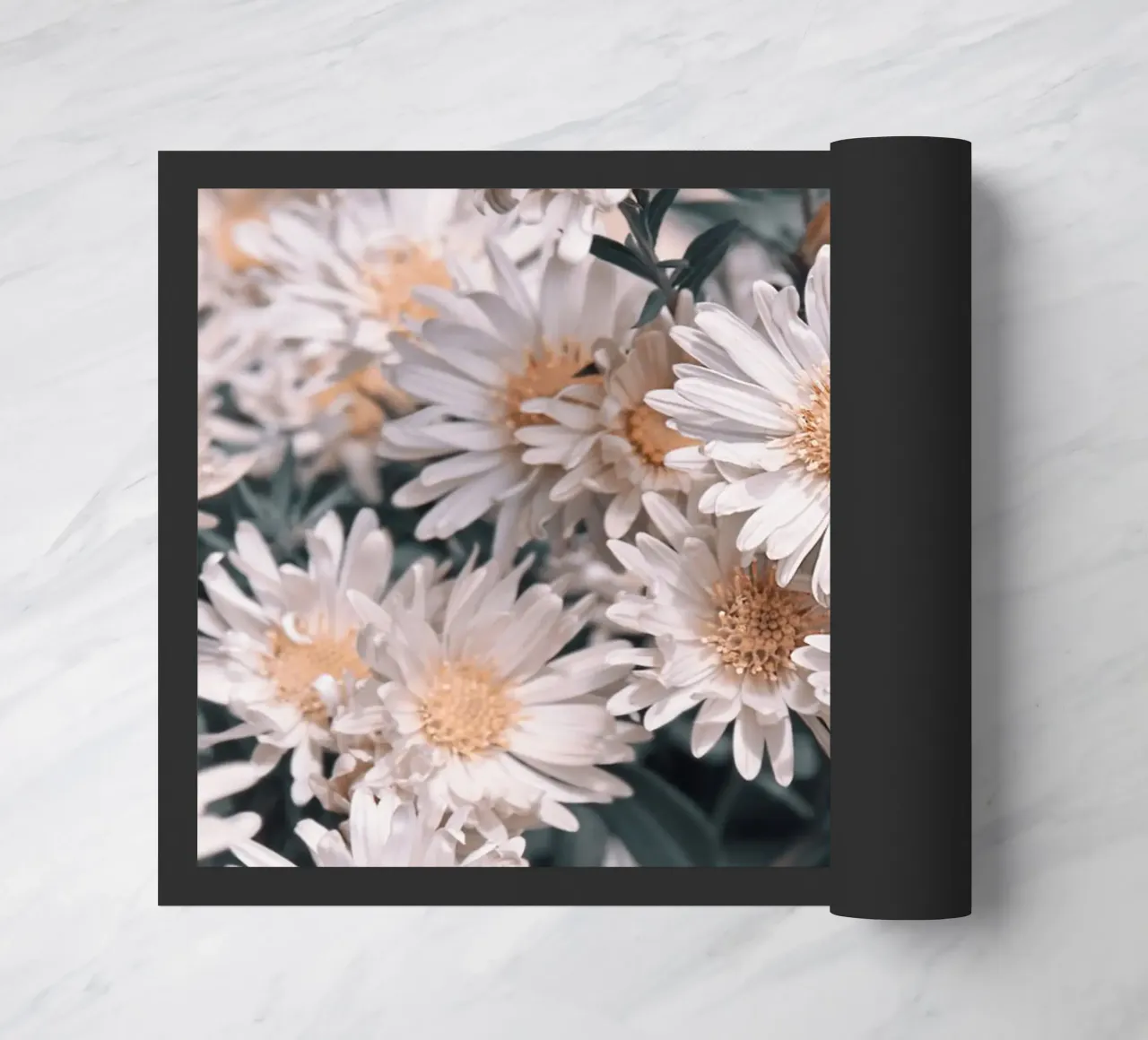 Margherite zerbino da Atteloi