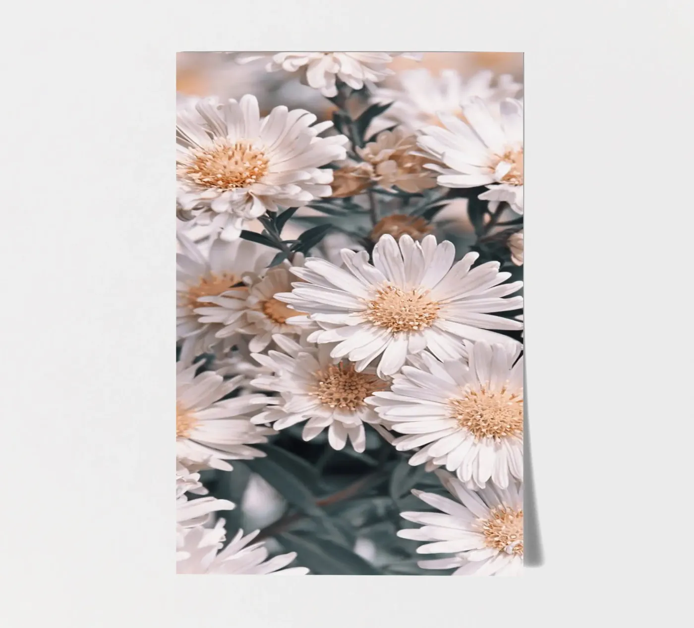 Daisies sticker sheet by Atteloi