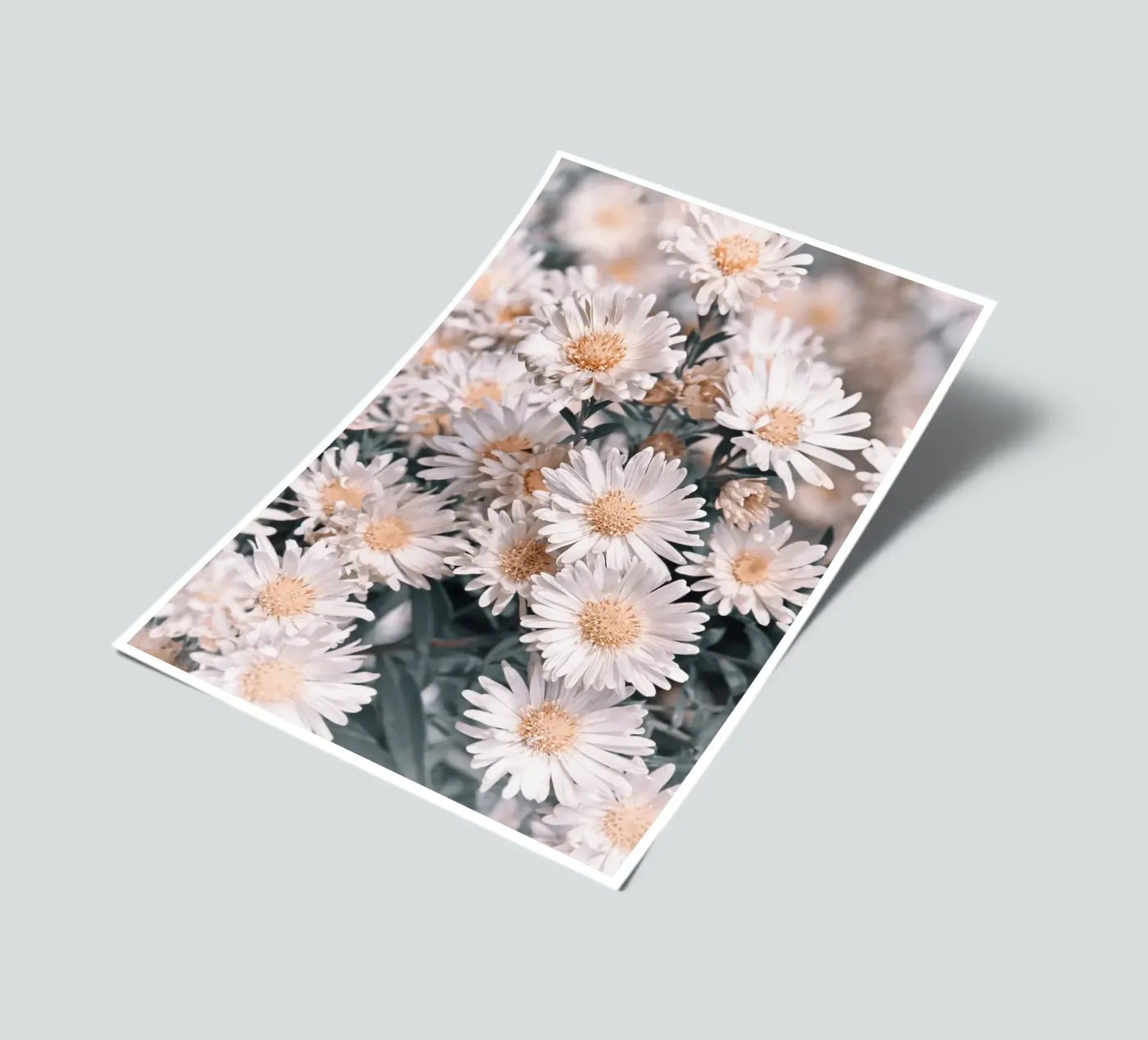 Daisies sticker sheet by Atteloi