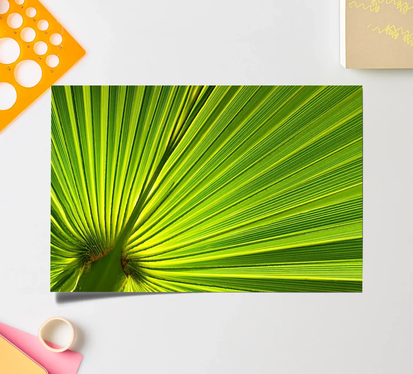 Palm leaf sticker sheet by Atteloi
