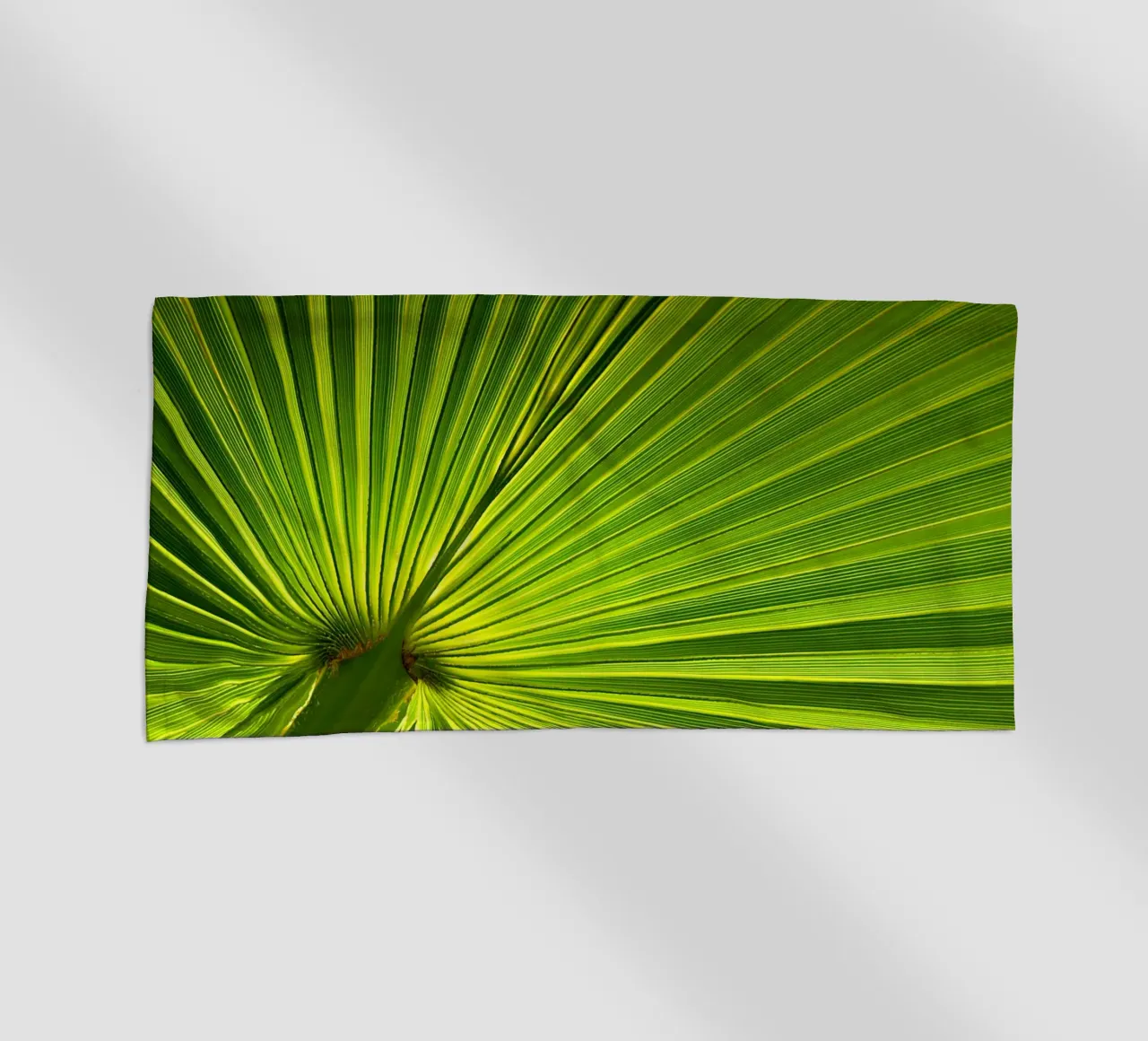 Foglia di palma telo mare da Atteloi