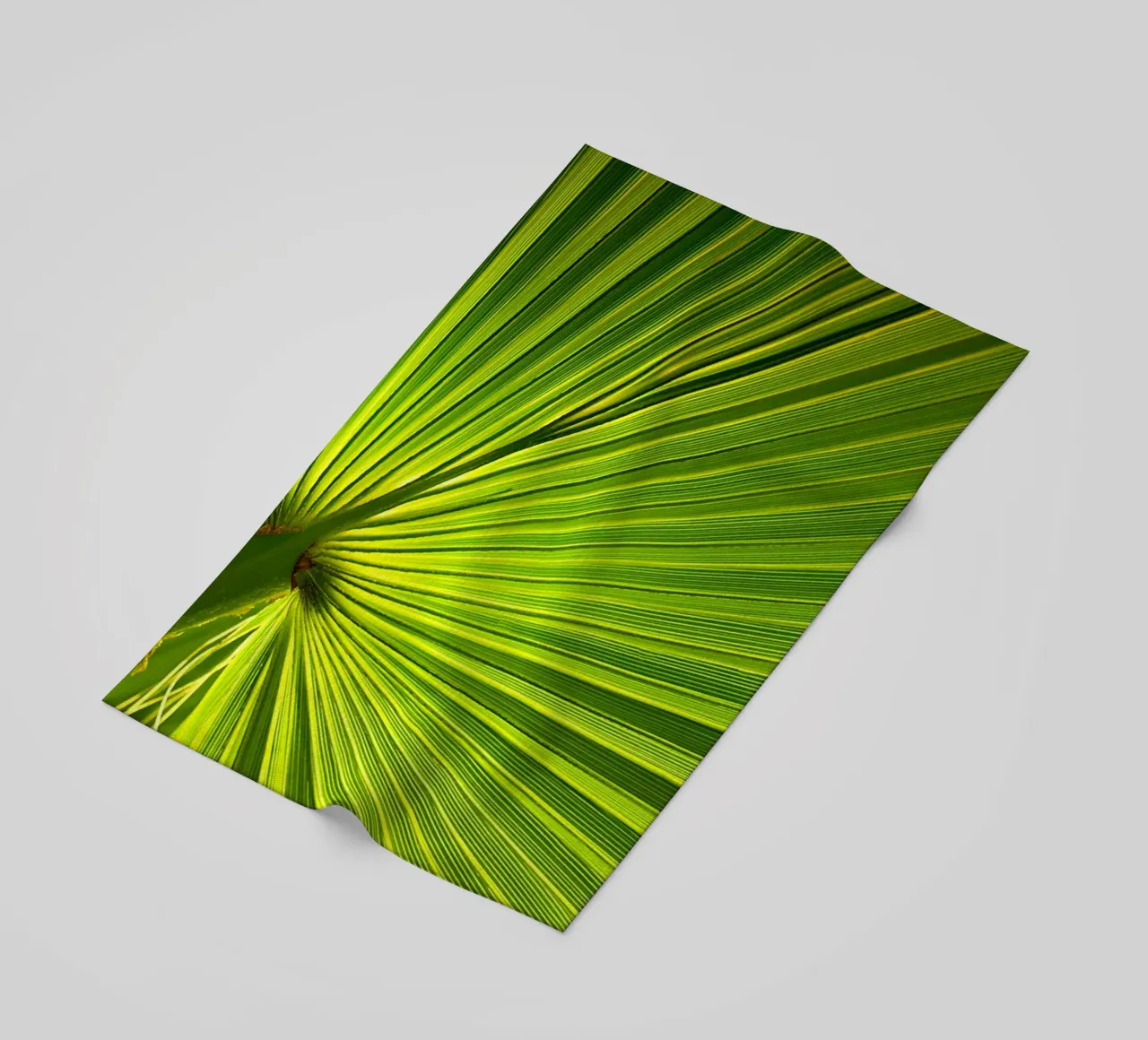 Foglia di palma telo mare da Atteloi