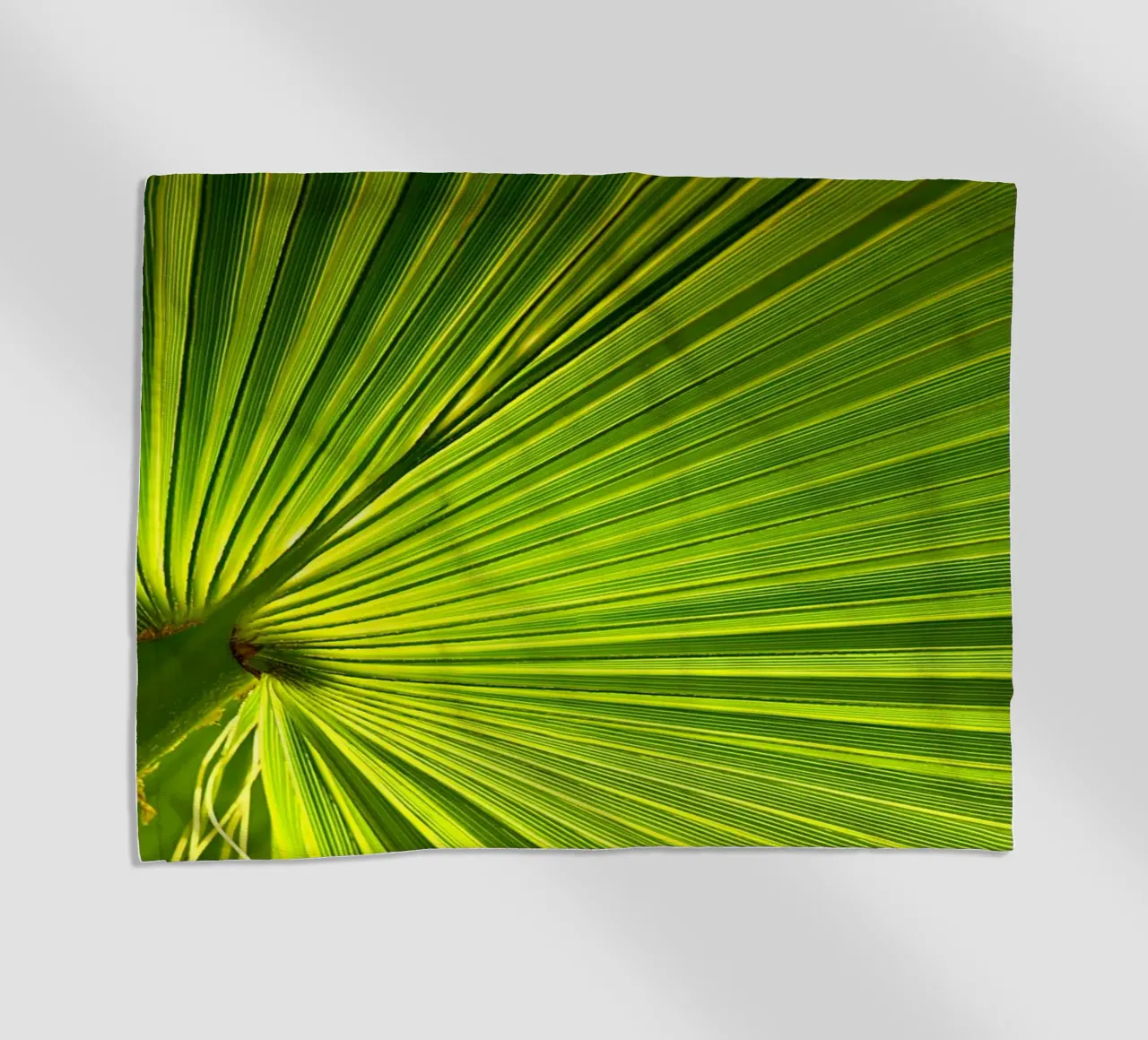 Foglia di palma telo mare da Atteloi