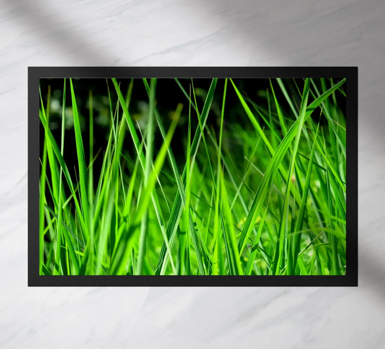 Erba zerbino da Atteloi