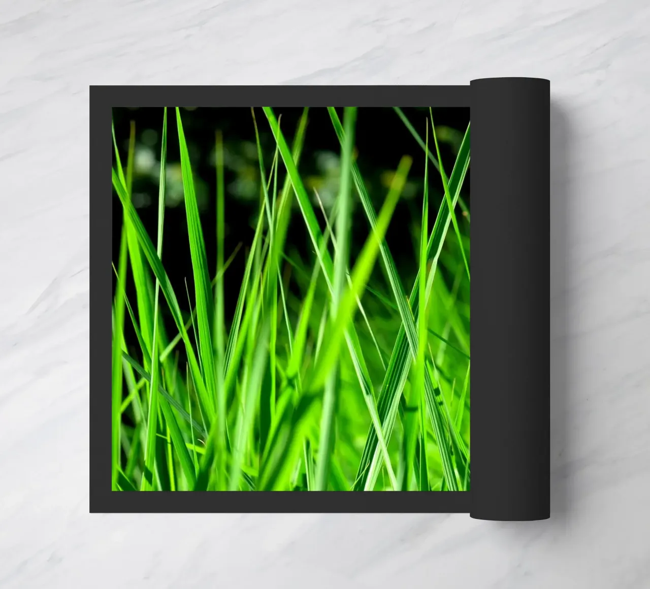 Erba zerbino da Atteloi