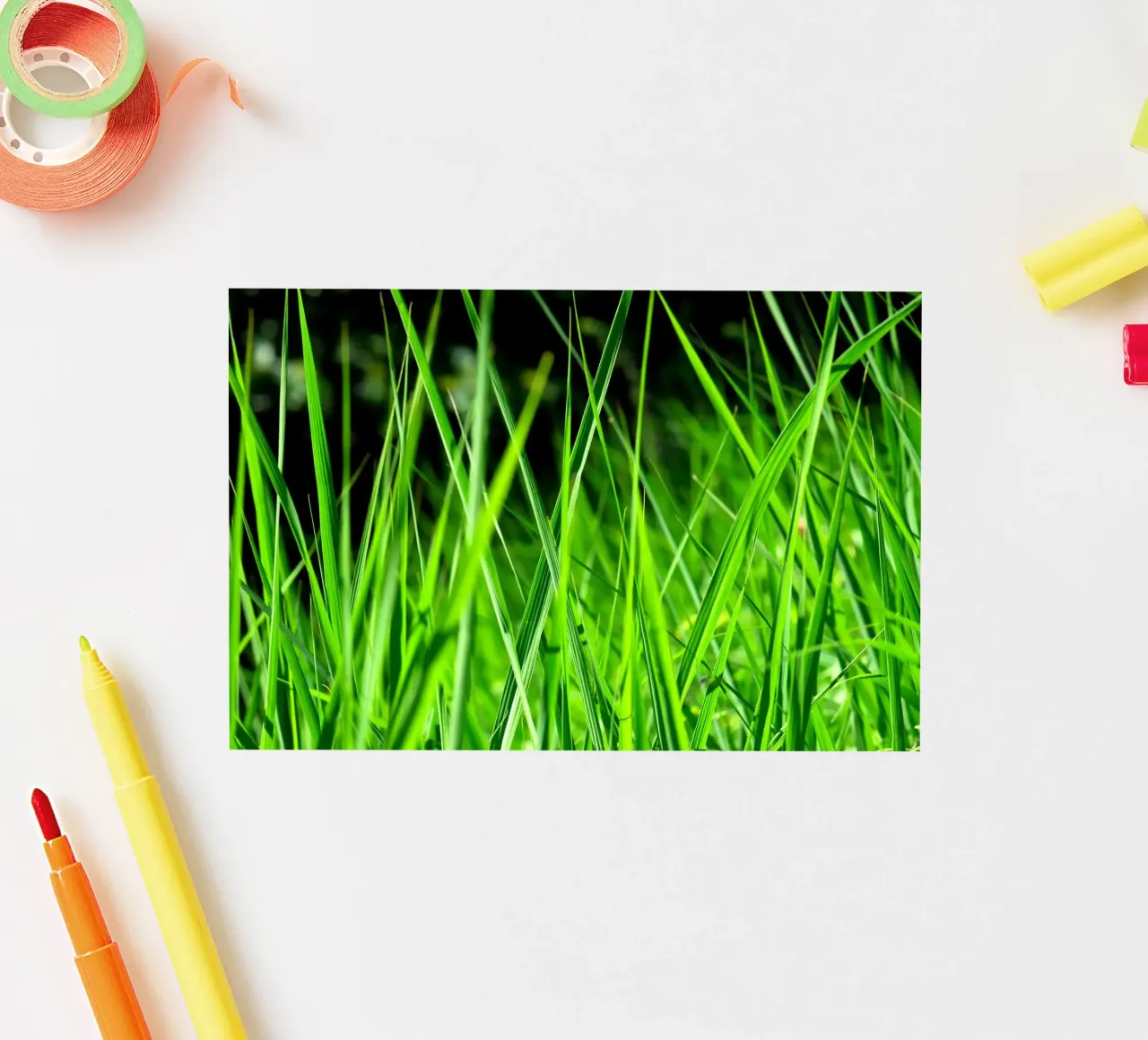 Grass sticker by Atteloi