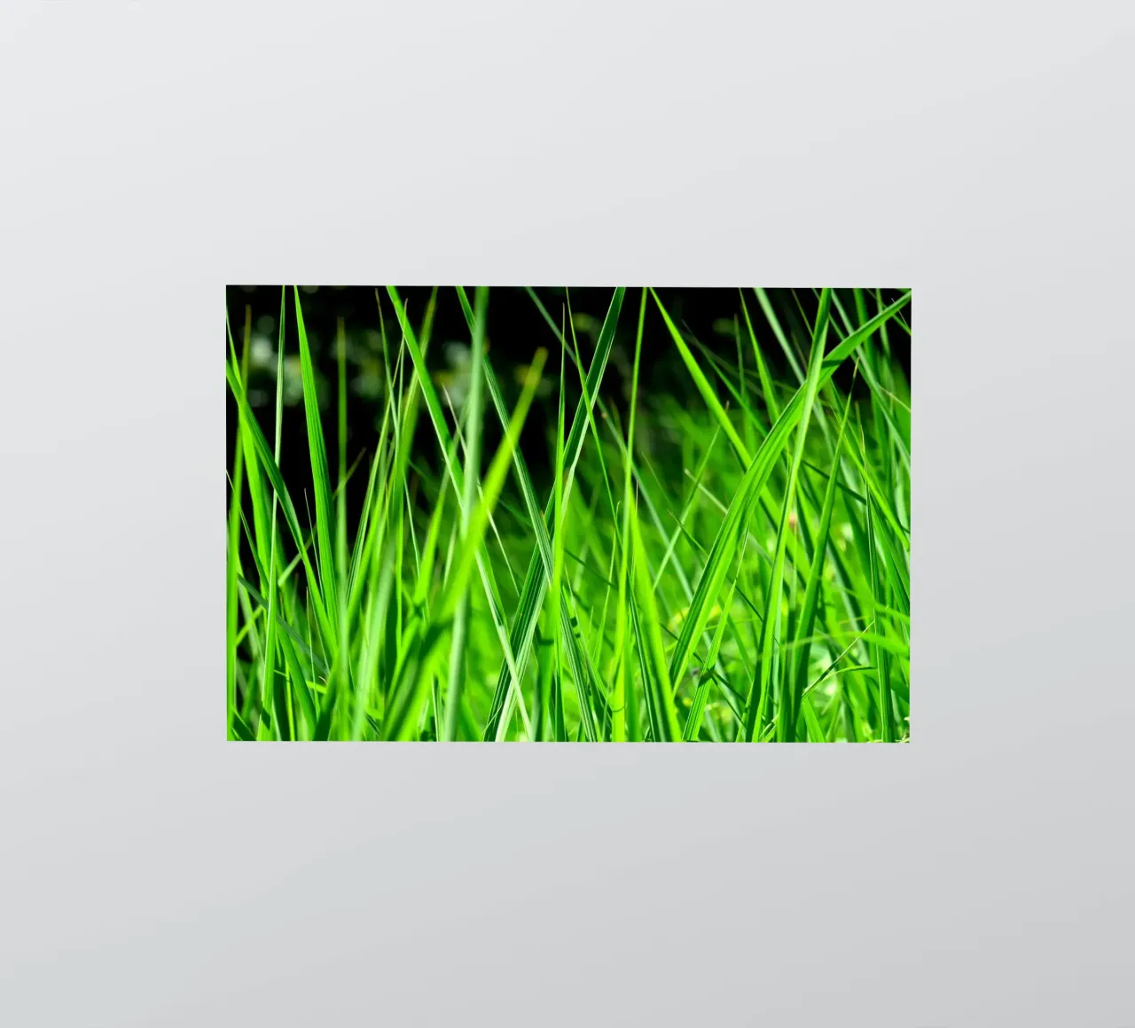 Grass sticker by Atteloi