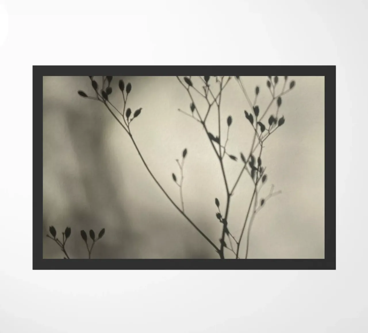 Luci e ombre zerbino da SaraRosenbaum