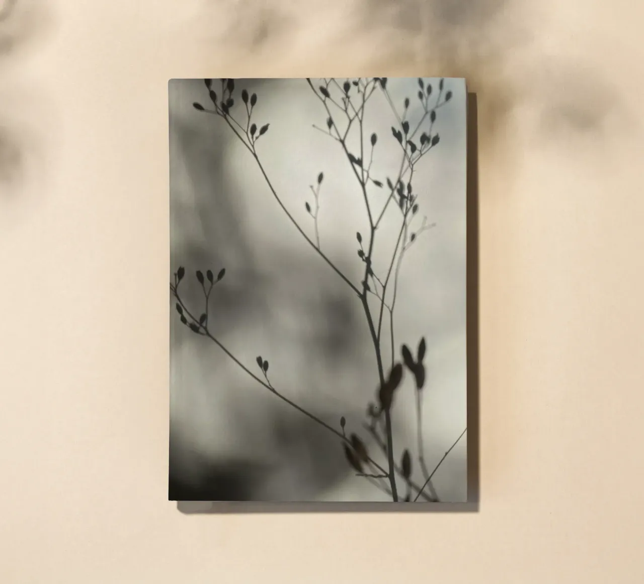 Light and shadow notebook by SaraRosenbaum