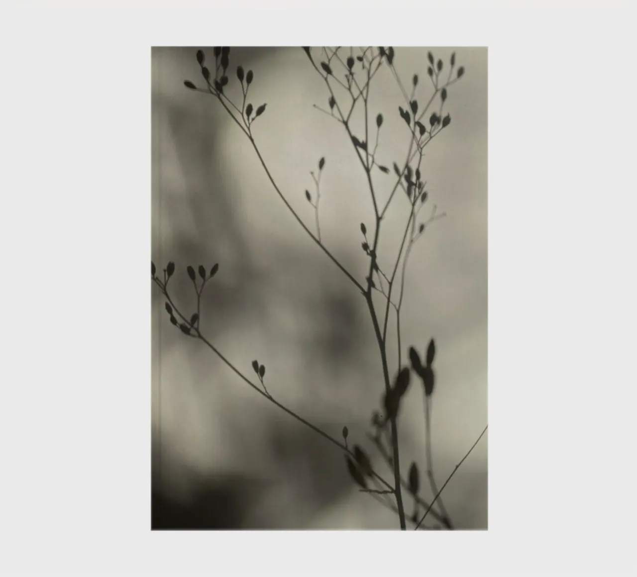 Light and shadow notebook by SaraRosenbaum