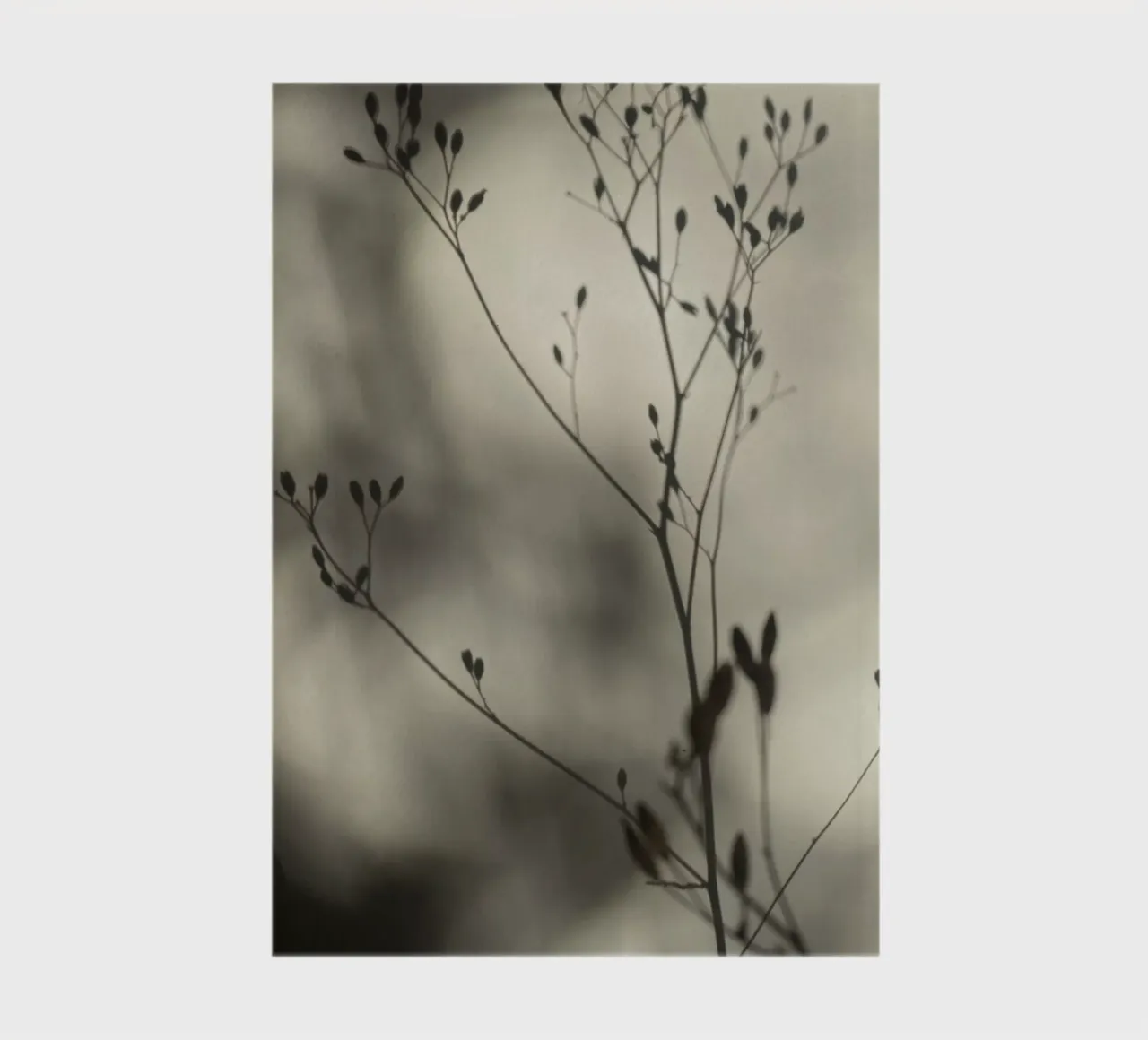 Light and shadow notebook by SaraRosenbaum