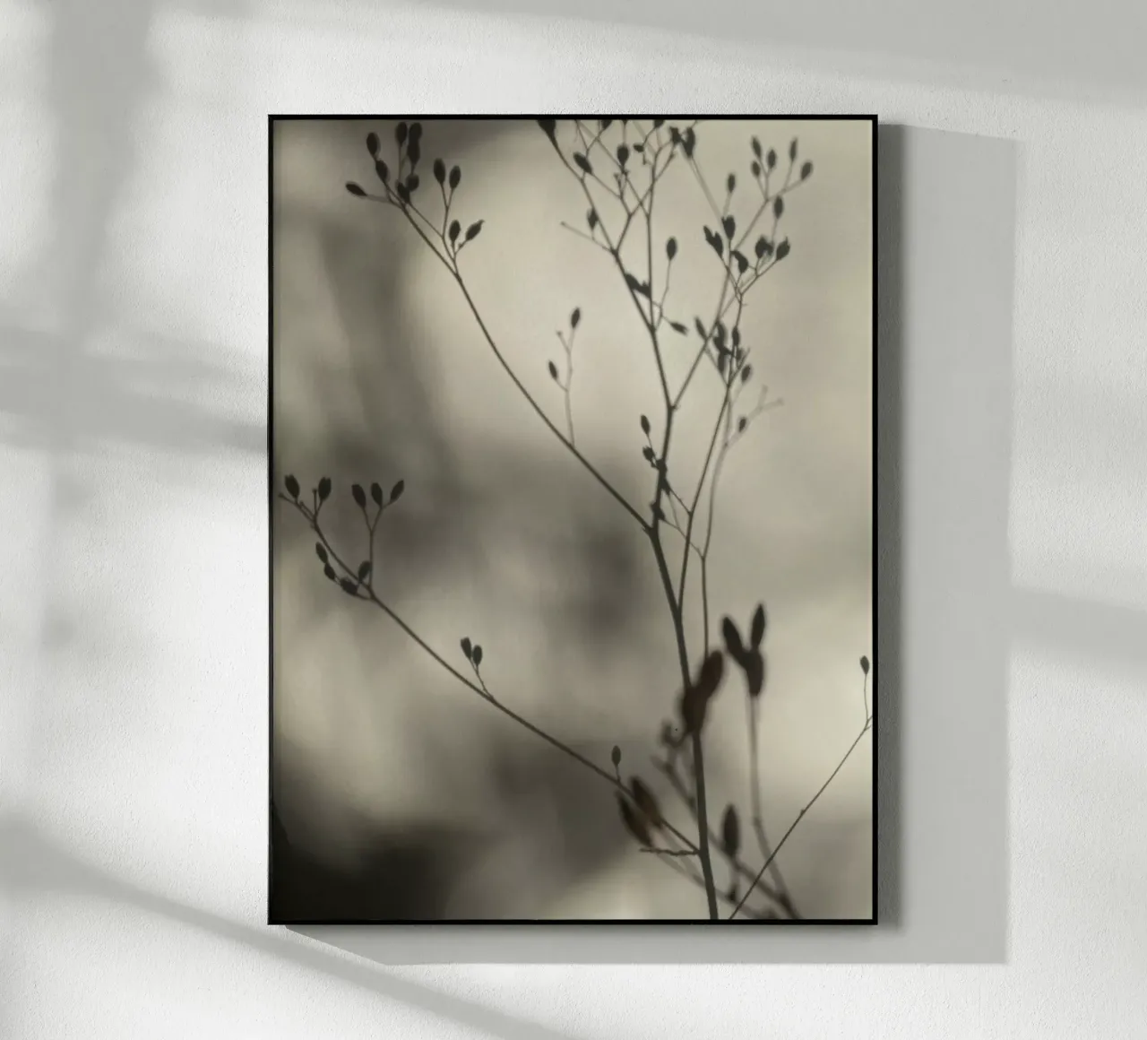 Luci e ombre plexiglass da SaraRosenbaum