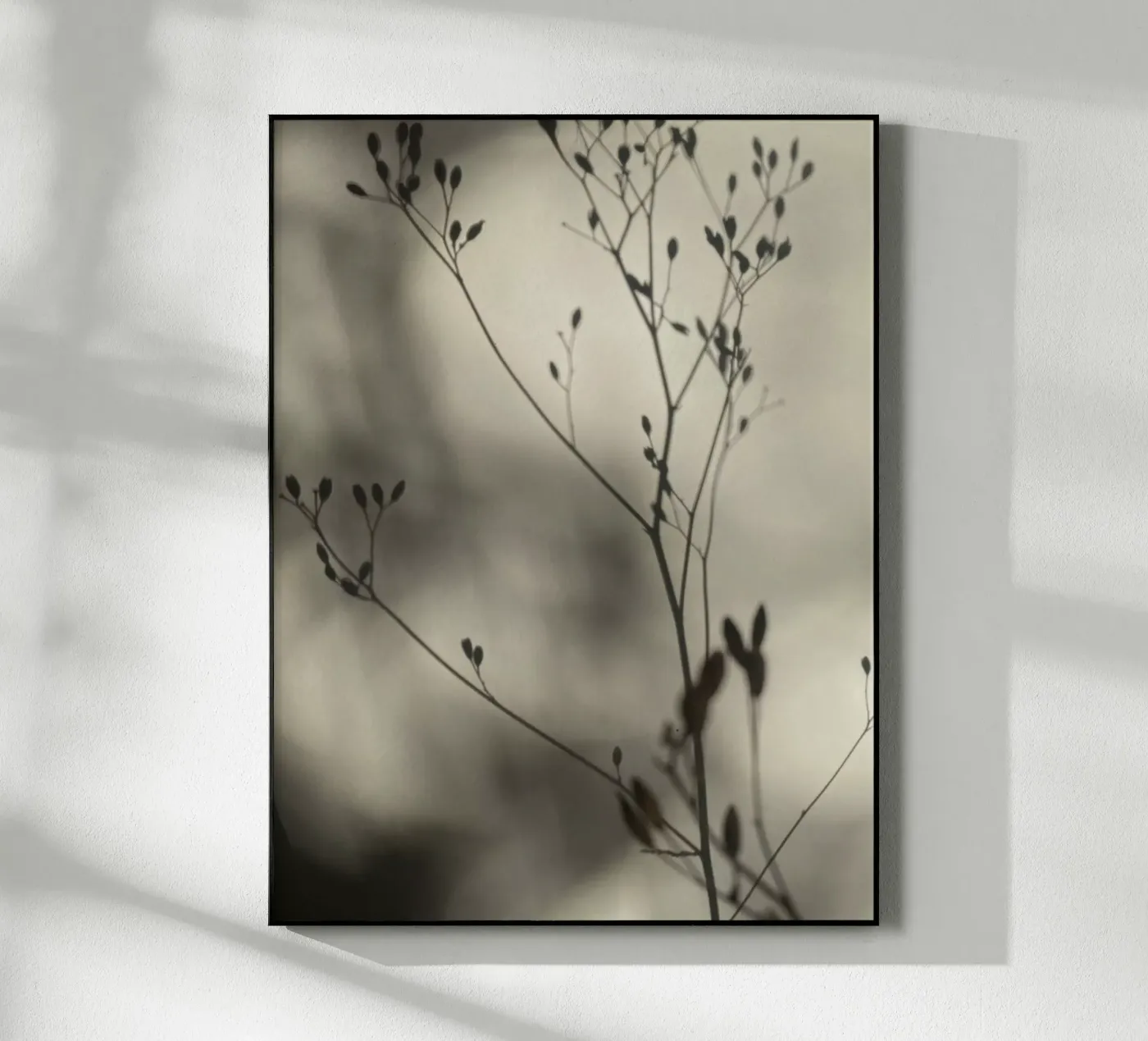 Light and shadow Acryl-Glas von SaraRosenbaum