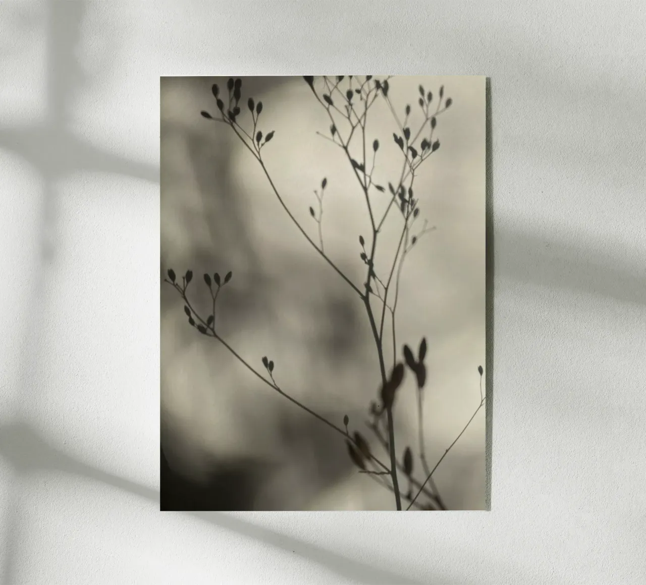 Luci e ombre plexiglass da SaraRosenbaum