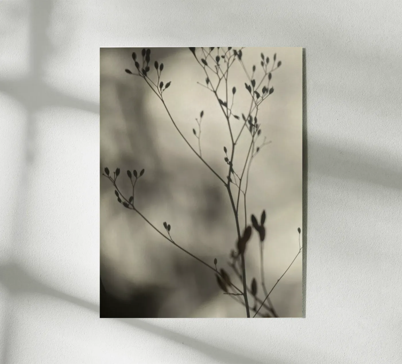 Light and shadow Acryl-Glas von SaraRosenbaum