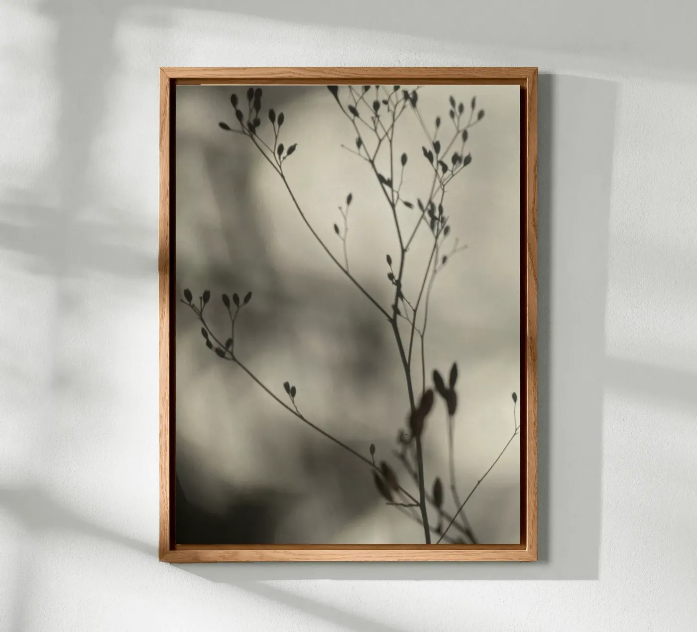 Luci e ombre pannello forex da SaraRosenbaum