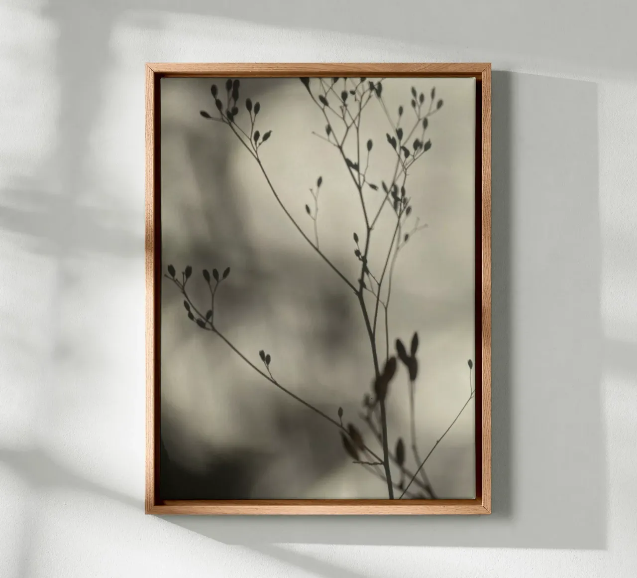 Light and shadow canvas with Floater frame by SaraRosenbaum