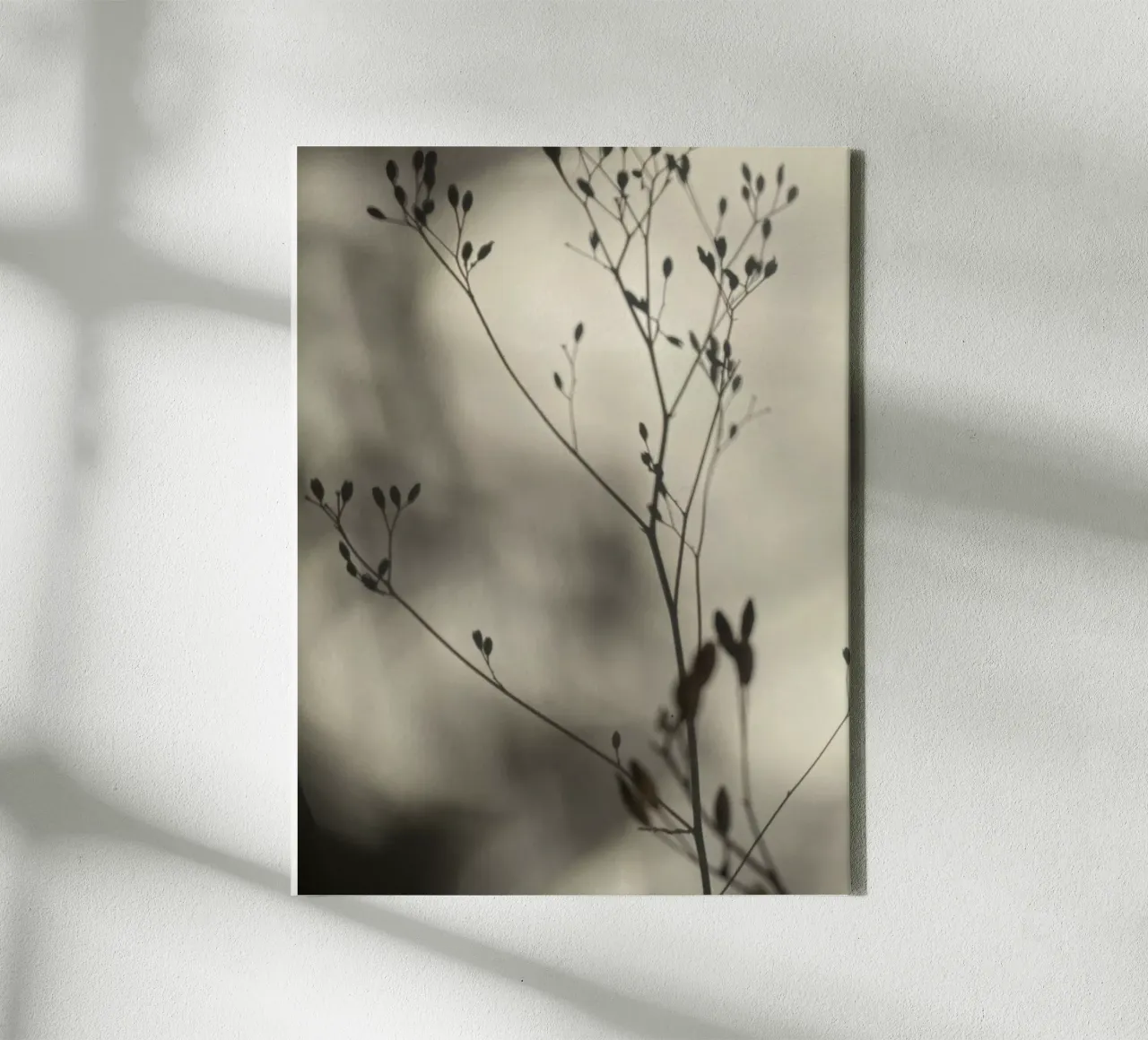 Light and shadow canvas with Floater frame by SaraRosenbaum