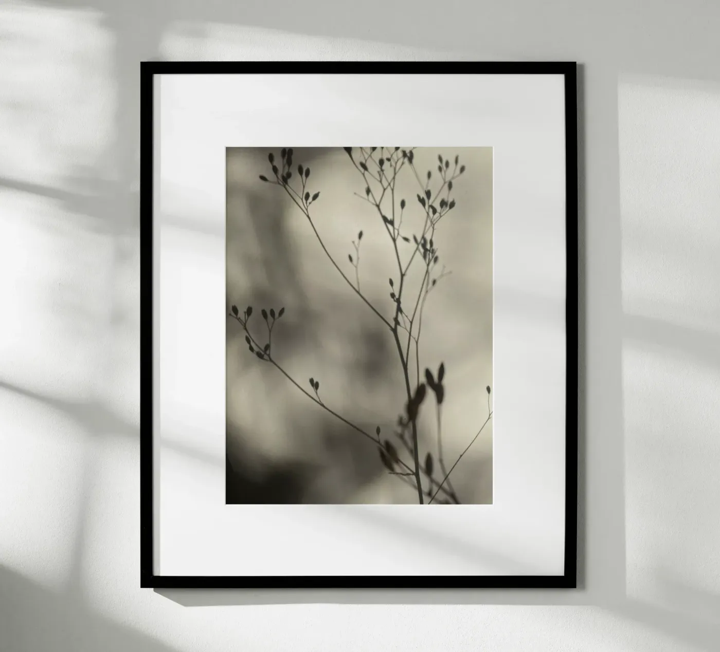 Licht en schaduw poster van SaraRosenbaum