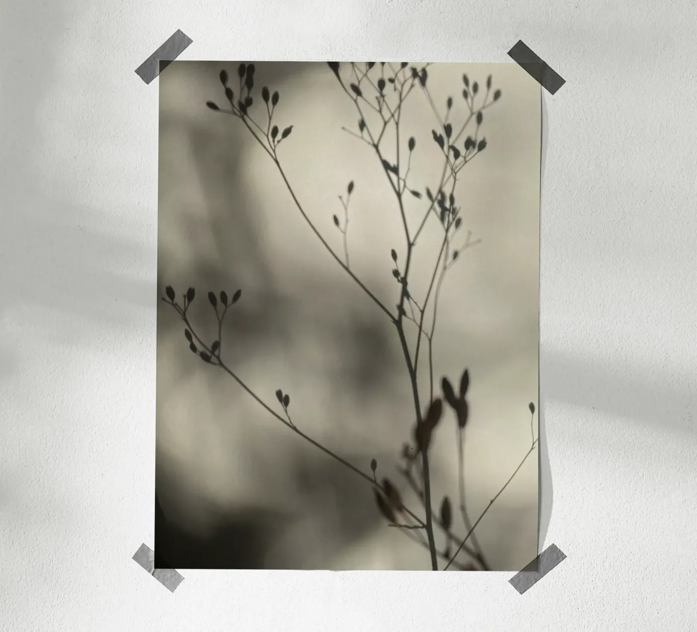 Licht en schaduw poster van SaraRosenbaum