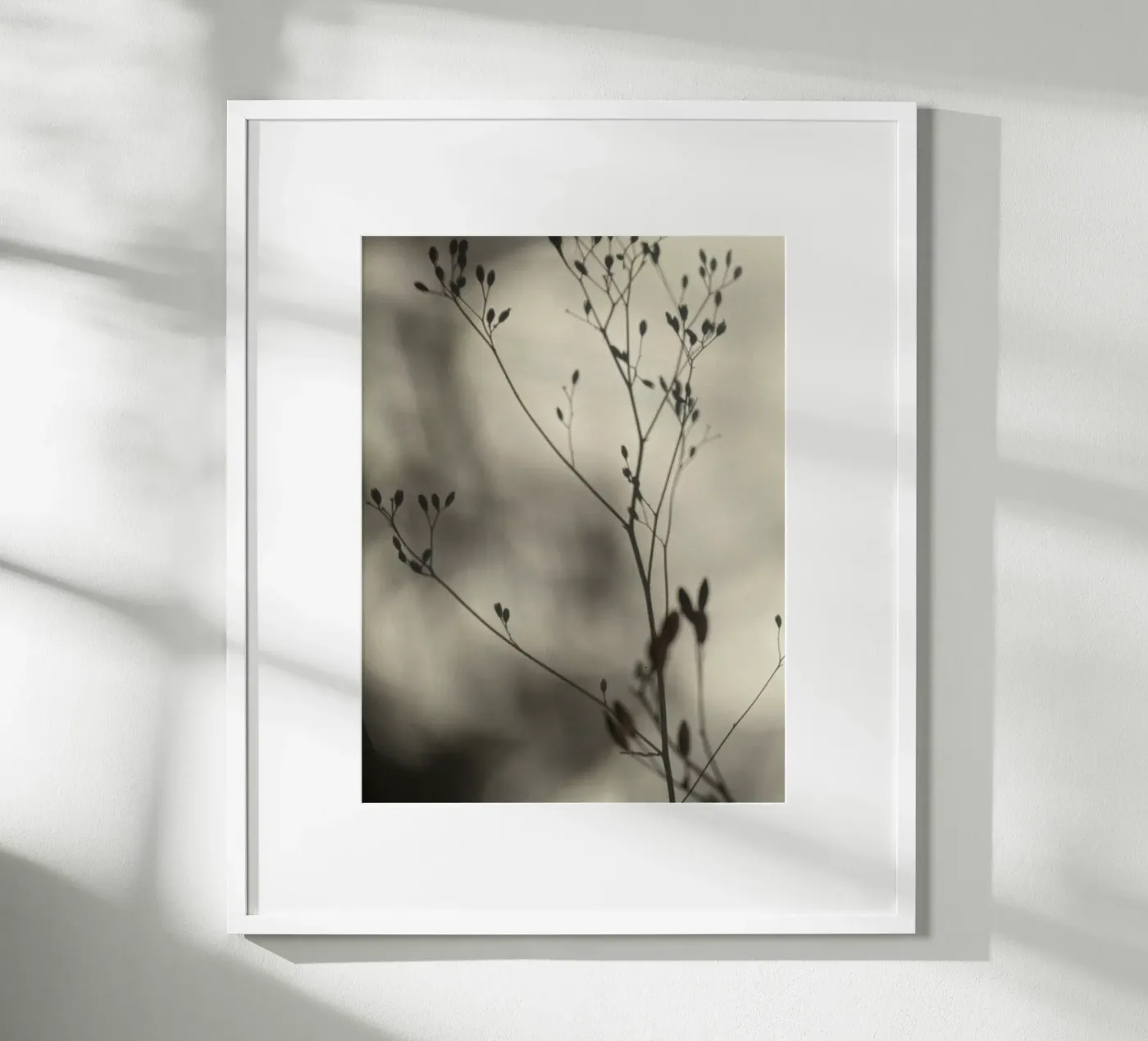 Licht en schaduw poster van SaraRosenbaum